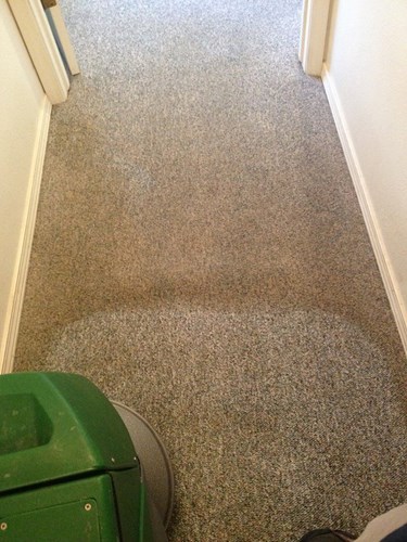 carpet cleaning with A+ Chem-Dry carpet cleaning machine in Merced CA