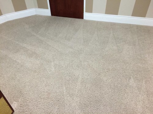 clean white carpet after a+ chemdry cleaned it in merced ca