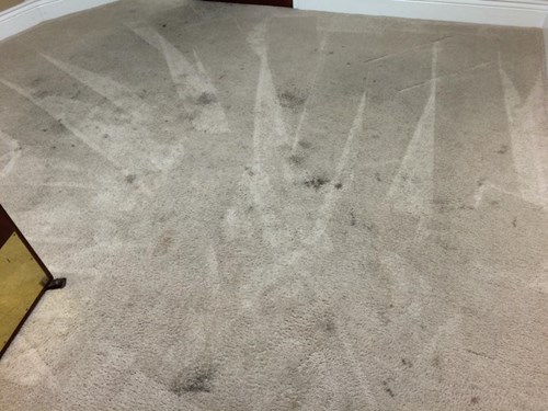 dirty carpet before a+ chem-dry cleaned it in Merced Ca