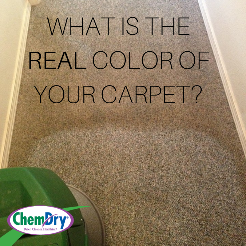 what is the real color of your carpet graphic