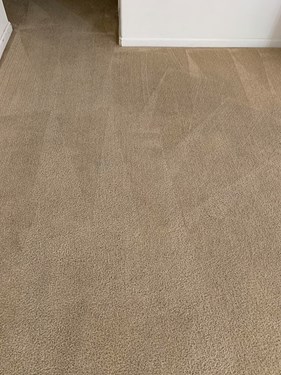 carpet cleaned by a plus chemdry using purt to remove urine stains and odors in merced ca homes