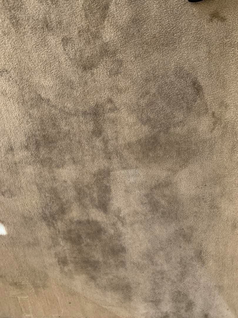 dirty carpet in merced county before a purt cleaning job