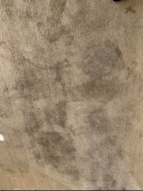 dirty carpet in merced ca before a purt cleaning with a plus chemdry