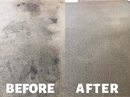 before and after carpet cleaning