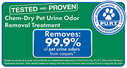 A+ Chem-Dry removes 99.9% of pet urine odors from carpets in Merced CA